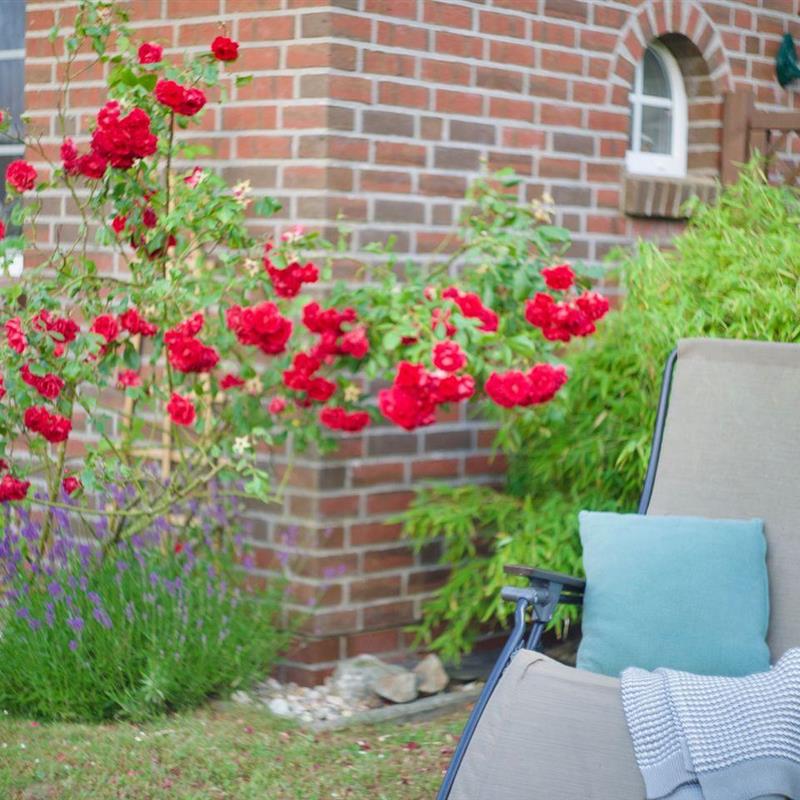 Sommerhus - 6 personer -  - Inselstraße - 26736 - Greetsiel