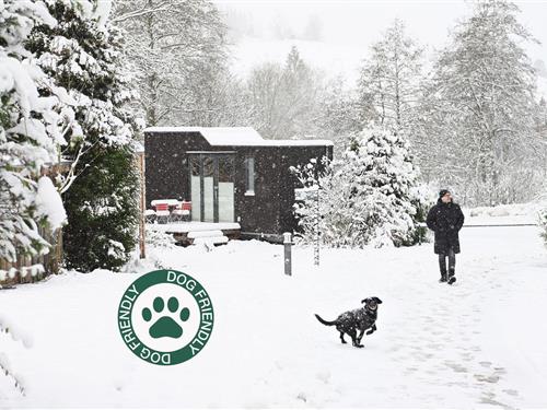 Sommerhus - 4 personer -  - An der Mühlwiese - 37520 - Osterode