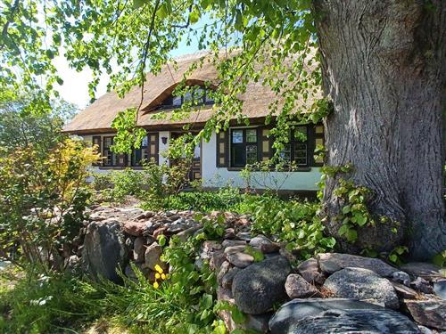 Ferieleilighet - 4 personer -  - Grüner Weg - 18347 - Wustrow