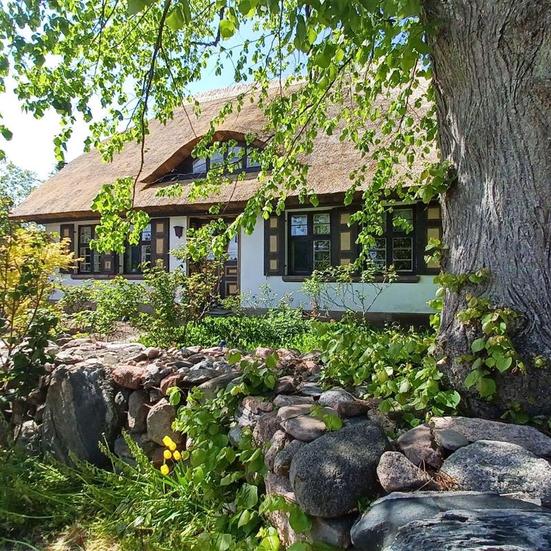 Ferielejlighed - 4 personer -  - Grüner Weg - 18347 - Wustrow