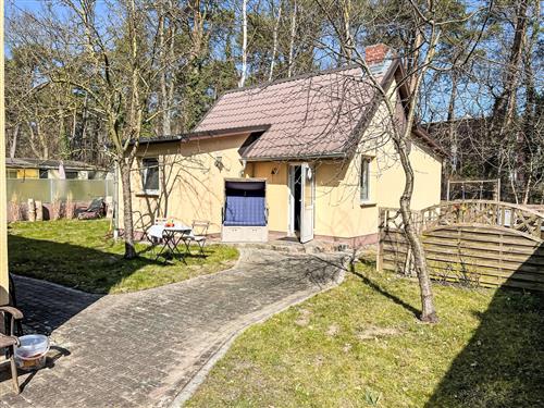 Feriehus - 5 personer -  - Zinnowitz - 17454