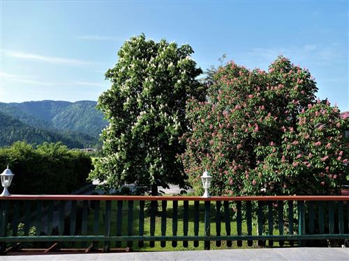 Holiday apartment - 2 persons -  - Dorfstr. - 83242 - Reit Im Winkl