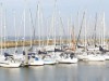 Billede 34