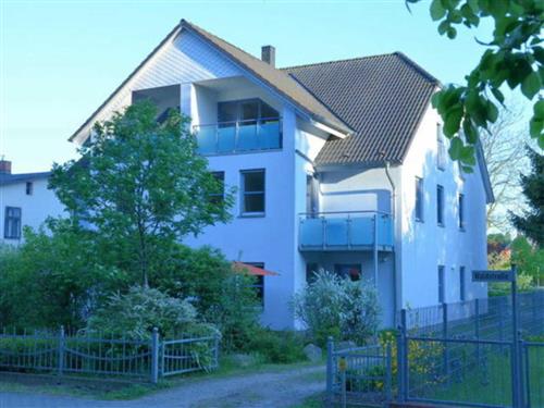 Semesterlägenhet - 5 personer -  - Waldstraße - 17459 - Zempin