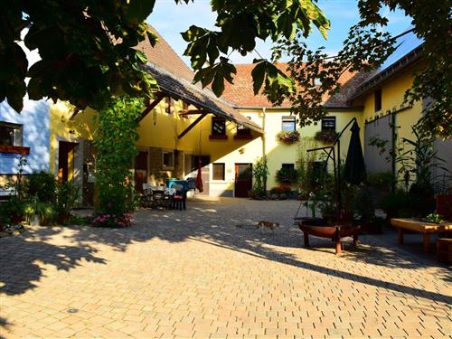 Holiday Home/Apartment - 4 persons -  - Dorfstraße - 97990 - Weikersheim