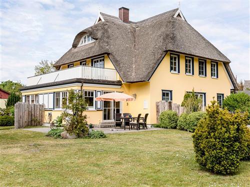 Ferieleilighet - 4 personer -  - Buchenstr. 32 c - 18375 - Prerow