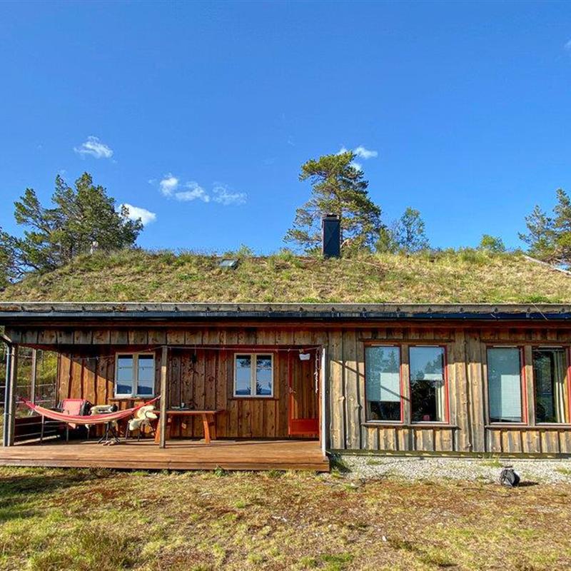 Sommerhus - 6 personer -  - Hillestadheia - Hillestadheia - 4869 - Dølemo