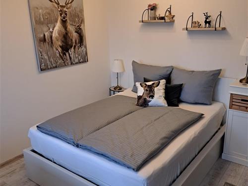 Ferienhaus - 2 Personen -  - Tanner Straße - 38700 - Braunlage