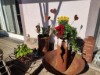 Billede 24