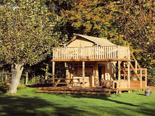 Glamping telt - 2 personer -  - 3896LS - Zeewolde