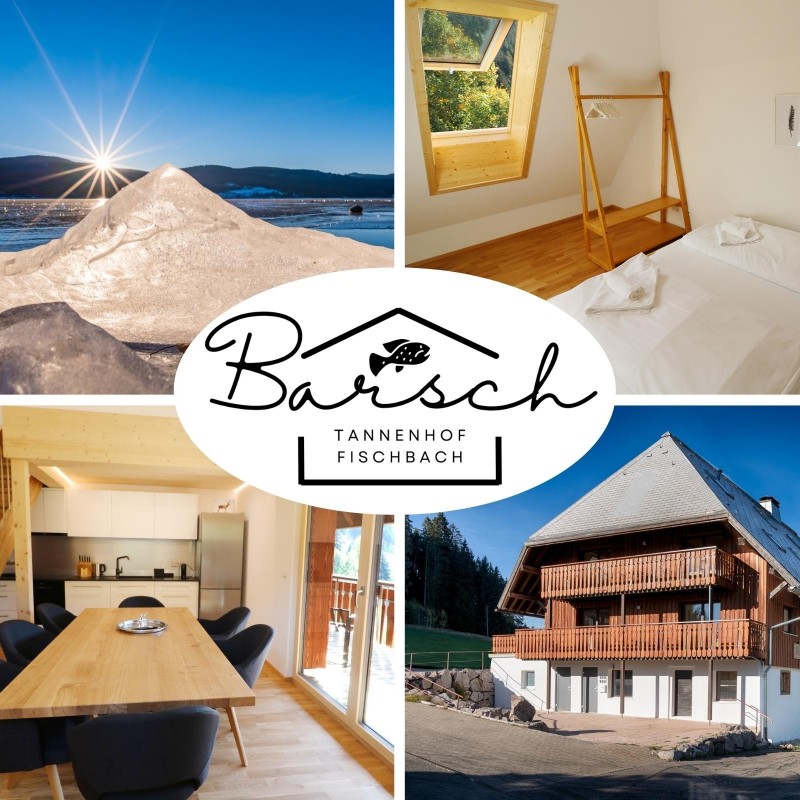 Ferielejlighed - 7 personer -  - Unterfischbach - 79859 - Schluchsee
