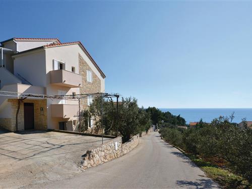 Holiday Home/Apartment - 3 persons -  - Ivan Dolac bb - Hvar-Ivan Dolac - 21465 - Ivan Dolac