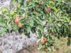 Image 31 - Outside