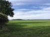 Afbeelding 28