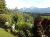 Bild 44