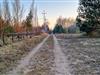 Bilde 6