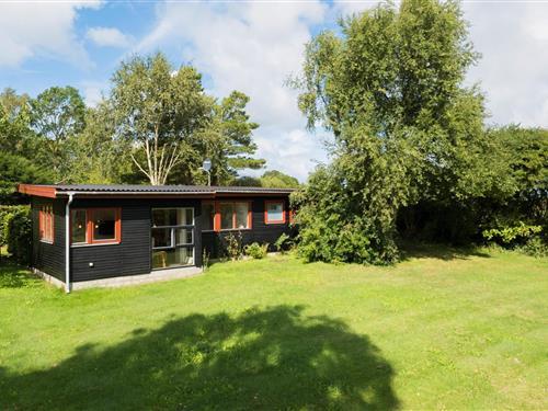 Sommerhus - 6 personer -  - Rughavevej - Overby Lyng - 4500 - Nykøbing Sj