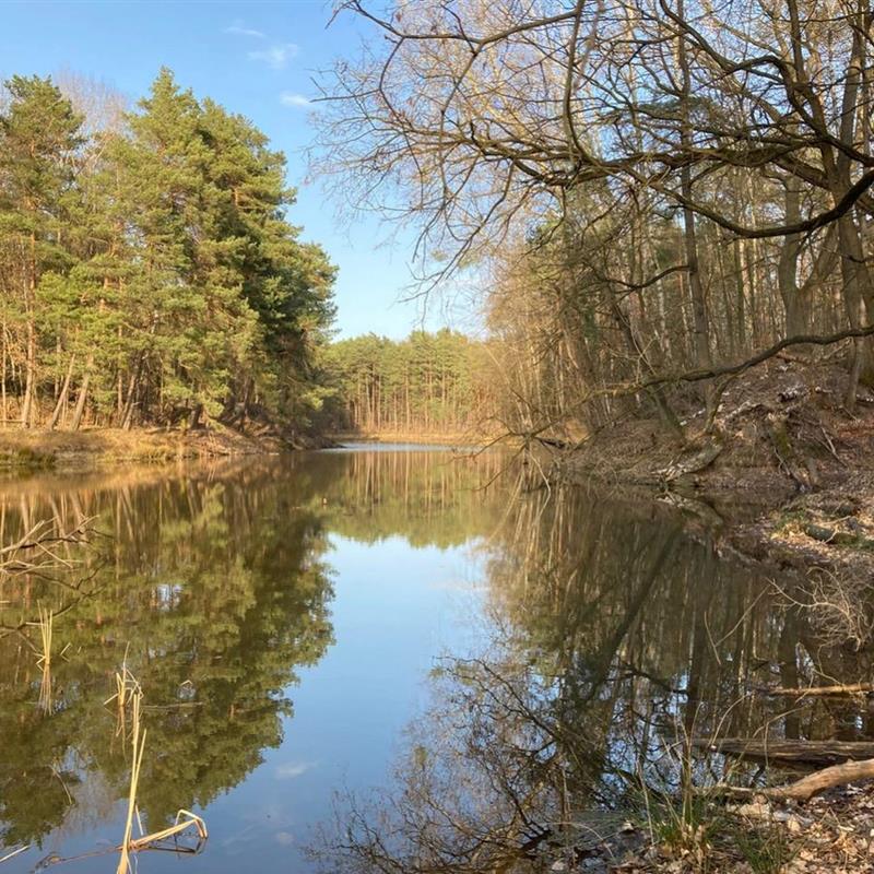 Bungalow - 4 personer -  - Waldschlößchen - 06869 - Coswig (Anhalt)