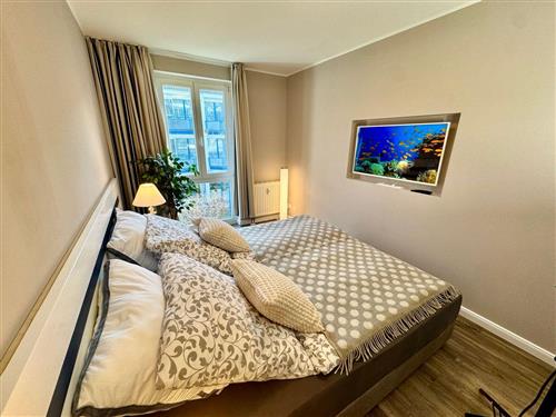 Ferielejlighed - 4 personer -  - Seestraße - 18374 - Zingst