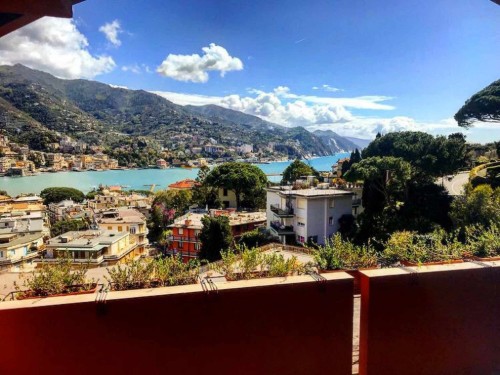 Holiday apartment - 2 persons -  - 16035 - Rapallo