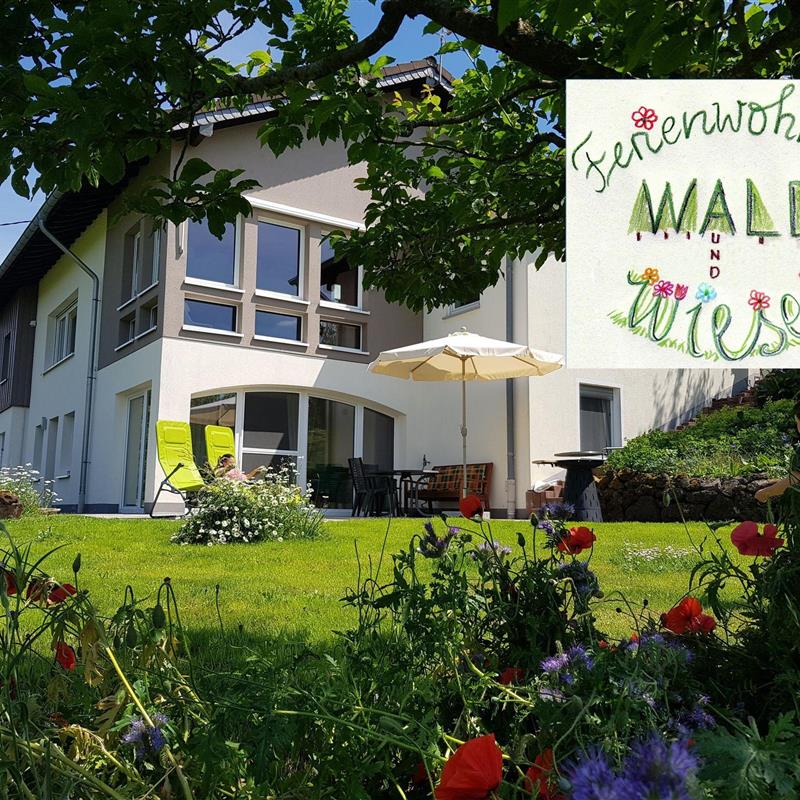 Ferielejlighed - 2 personer -  - In Holmes - 54568 - Gerolstein