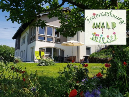 Ferielejlighed - 2 personer -  - In Holmes - 54568 - Gerolstein