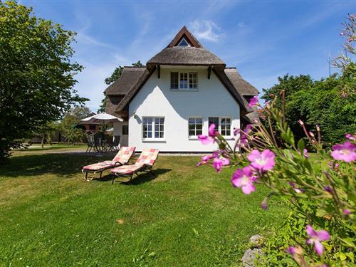 Sommerhus - 4 personer -  - Hermann-Abeking-Weg - 18347 - Ostseebad Ahrenshoop