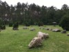Image 14
