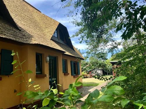 Ferielejlighed - 2 personer -  - Reetort- Heide 3 A - 18347 - Wustrow