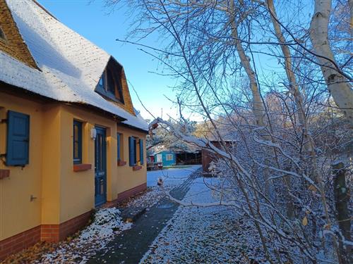 Holiday Home/Apartment - 2 persons -  - Reetort- Heide 3 A - 18347 - Wustrow