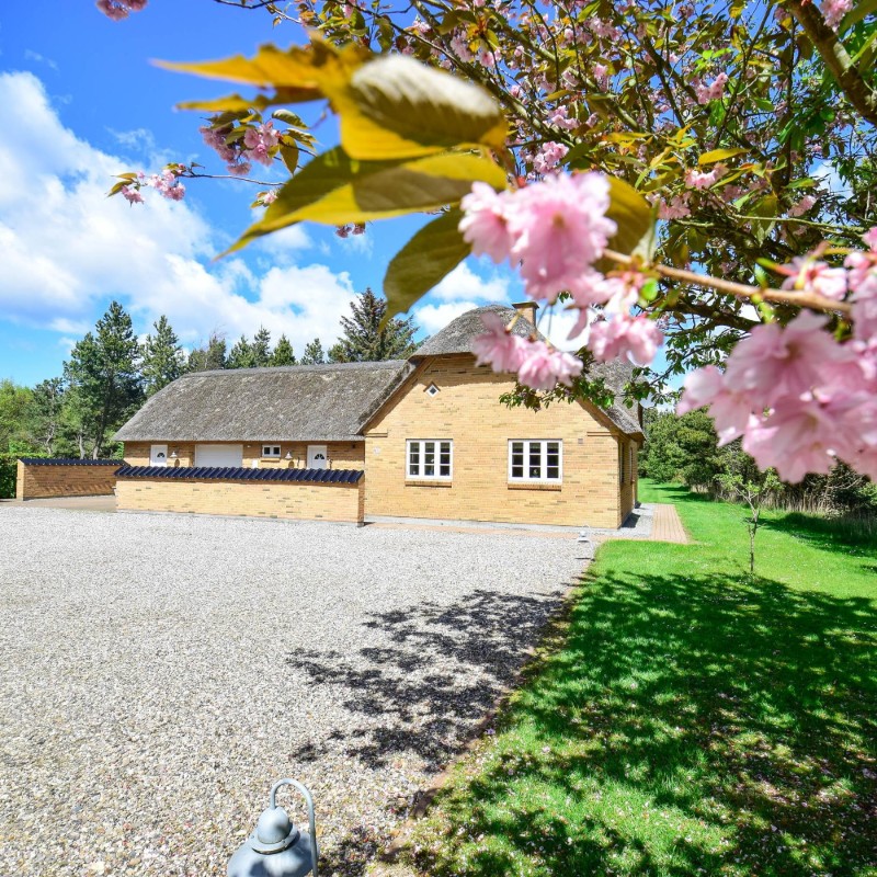 Ferienhaus - 6 Personen -  - Vester Mosevej - Vester Husby - 6990 - Ulfborg
