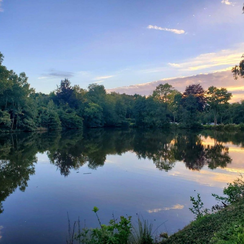 Ferielejlighed - 5 personer -  - Am See - 56291 - Leiningen