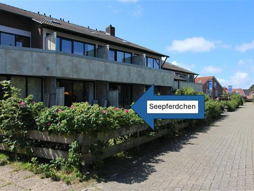 Holiday apartment - 3 persons -  - Kiebitzweg - 26465 - Langeoog