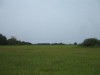 Bilde 32 - Ude