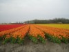 Bild 33