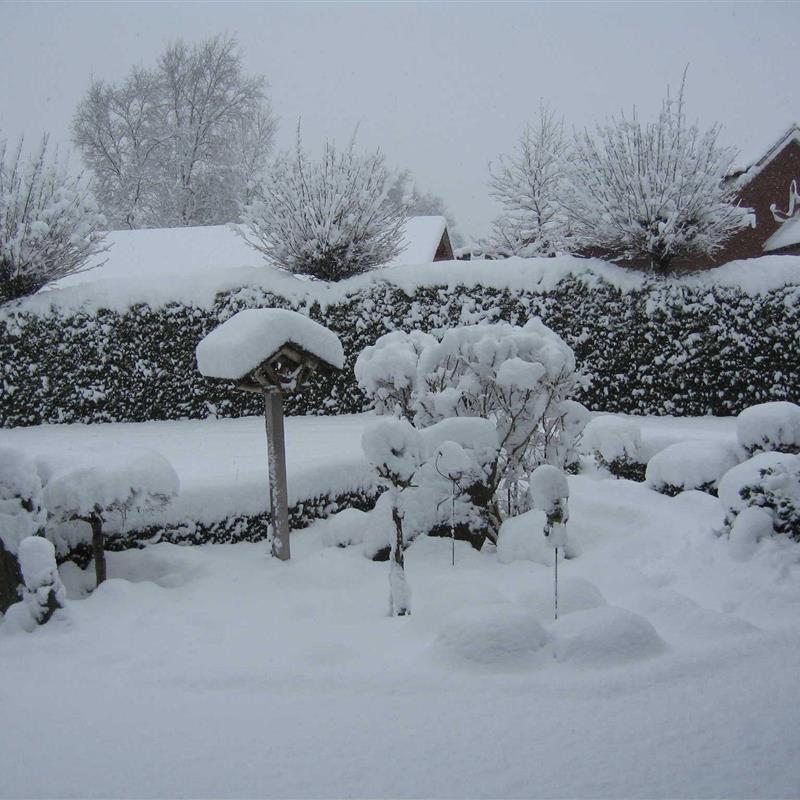 Ferielejlighed - 2 personer -  - Dahlienweg - 26683 - Saterland