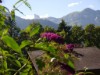 Bild 22