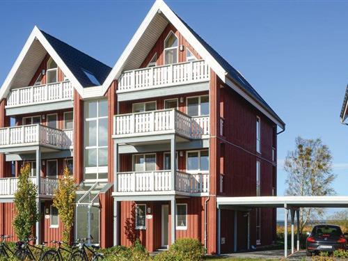 Ferielejlighed - 6 personer -  - Müritztörn - Rechlin/Müritz - 17248 - Rechlin
