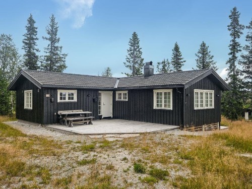 Ferienhaus - 8 Personen -  - Høybulivegen - Veggli Fjell - 3628 - Veggli