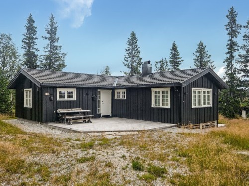 Holiday home - 8 persons -  - Høybulivegen - Vegglifjell - Buskerud - 3628 - Veggli