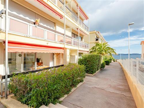 Holiday apartment - 4 persons -  - Sainte Maxime - 83120