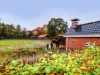 Bild 37