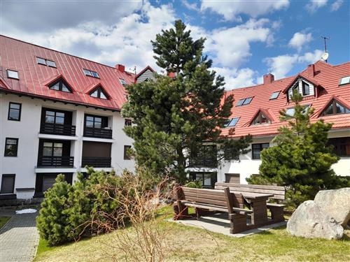 Ferielejlighed - 4 personer -  - Harrachov - 512 46