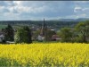 Image 26