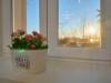 Bilde 27 - Inne