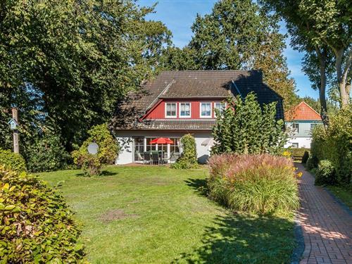 Feriehus - 6 personer -  - Jagdhaus - 18375 - Wieck A. Darß