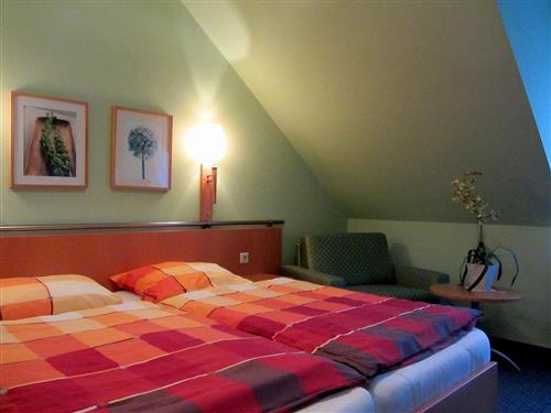 Holiday apartment - 2 persons -  - Hagebuttenstraße - 37574 - Einbeck
