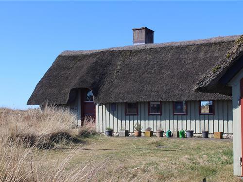 Sommerhus - 6 personer -  - Frans Julius vej - Søndervig - 6950 - Ringkøbing