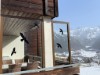 Bild 16 - Inde