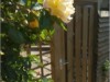 Bilde 2